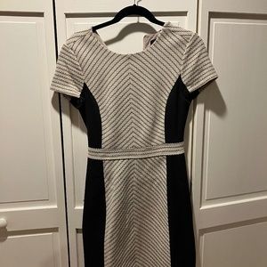 Classic J. Crew Dress